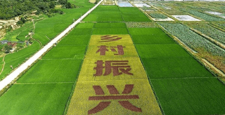 人民日報(bào)&ldquo;鄉(xiāng)村振興計(jì)劃&rdquo;為何看上他？_直播_行業(yè)_農(nóng)產(chǎn)品